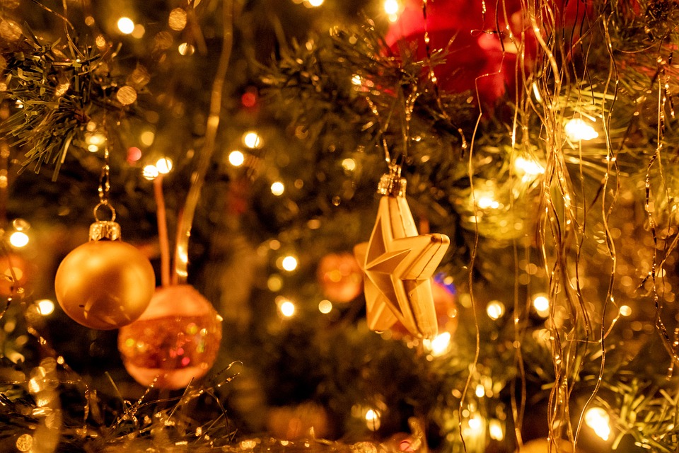 Christmas Tree Holiday Season Free photo on Pixabay Pixabay