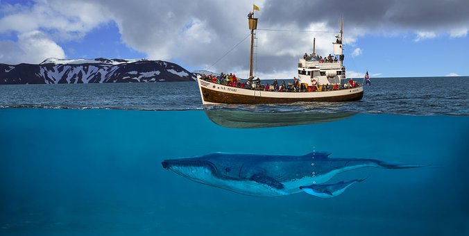 Free Sea Water illustration and picture