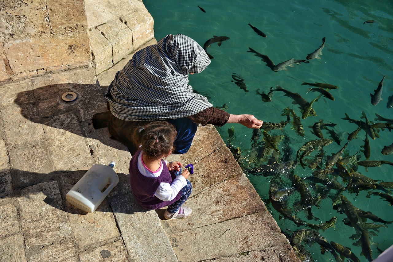 Motherhood Kid Fish - Free photo on Pixabay