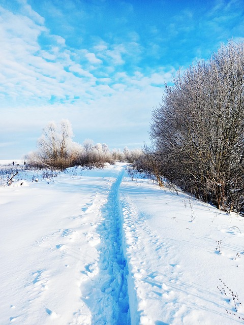 Free Nature Winter photo and picture