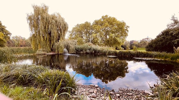 See, Natur, Teich, Wasser, Baum