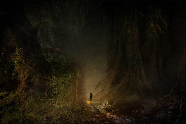 Free fantasy forest girl illustration
