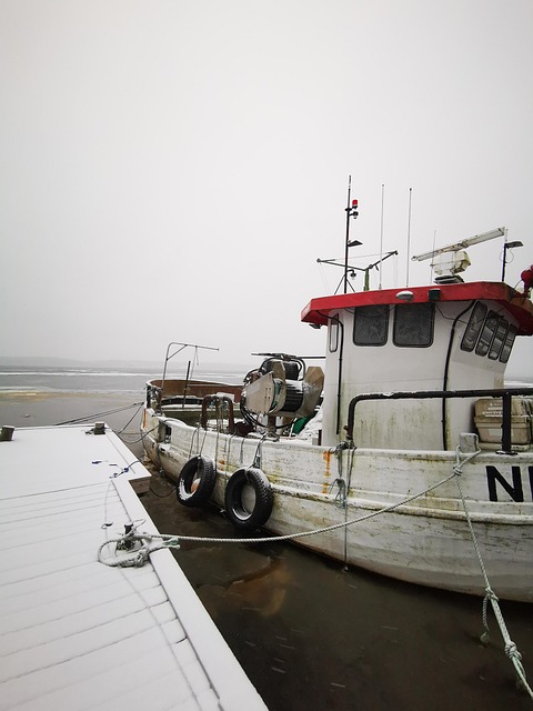 Boot, Fischer, Fischerboot, Reisen