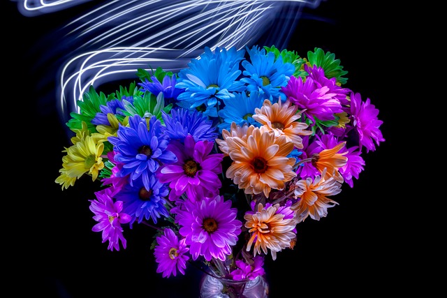 Flores, Margarita, Ramo, Naturaleza