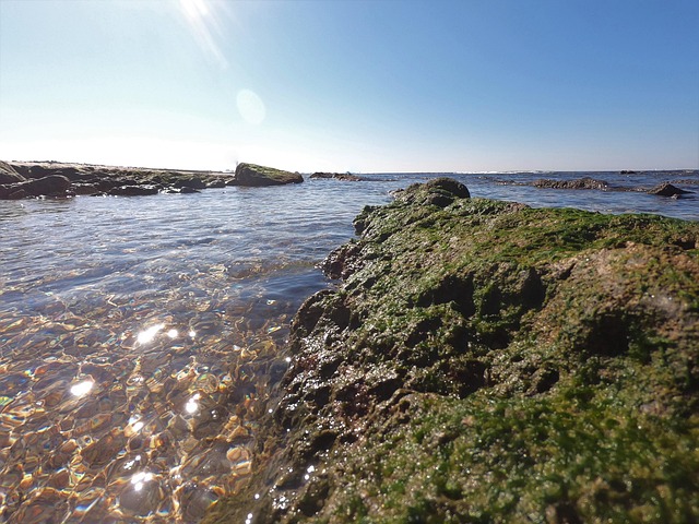 Free Ocean Sea photo and picture