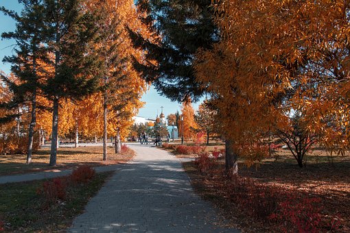 Herbst, Straße, Natur, Jahreszeit, Bäume