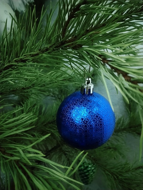 Free Christmas Christmas Decoration photo and picture