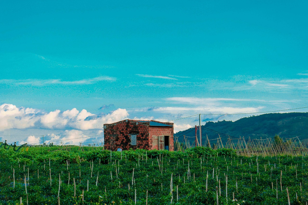 House - free online jigsaw puzzle photo