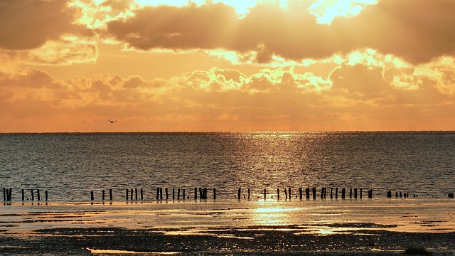 Free Sunset Sea photo and picture