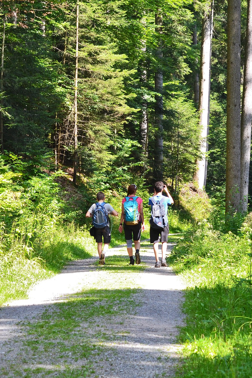 Hike Nature Summer To - Free photo on Pixabay
