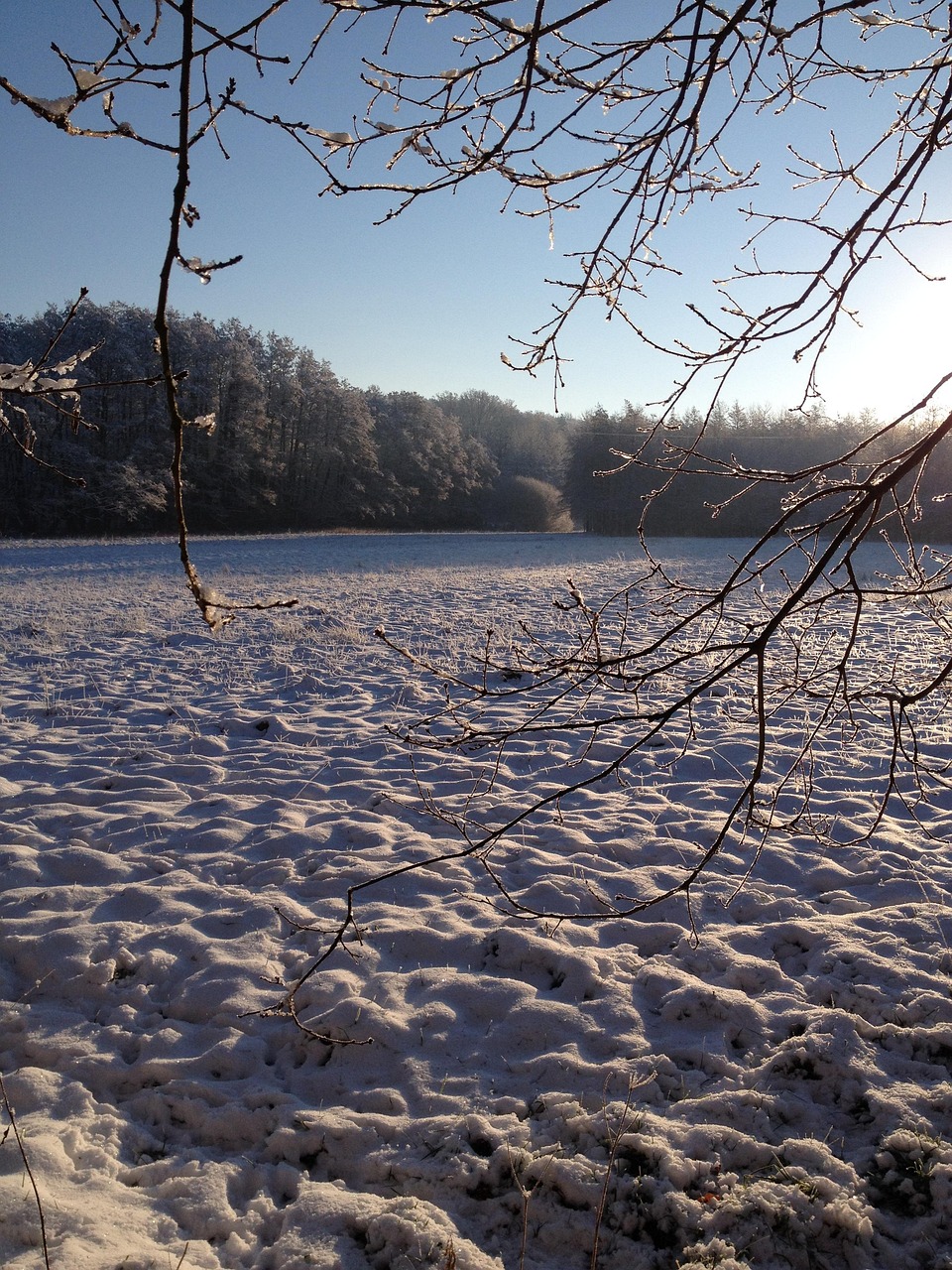 冬 雪 自然 - Pixabayの無料写真 - Pixabay