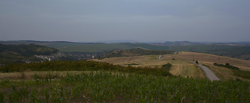 Romênia, Natureza, Paisagem, Floresta