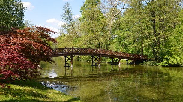 Ponte, Natureza, Viajar Por, Exploração