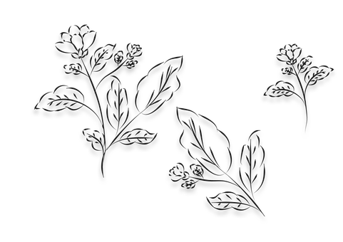 Blomst, Bundt, Flok, Buket, Omrids