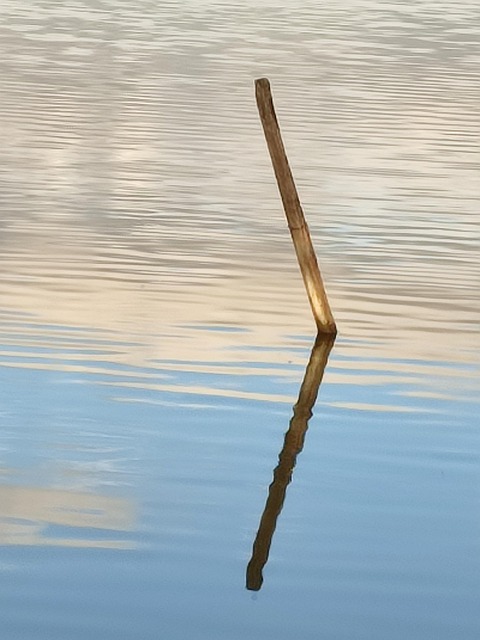 Spiegelung Im Wasser, Sonnenuntergang