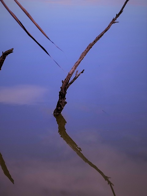 Spiegelung Im Wasser, Wasser, Natur