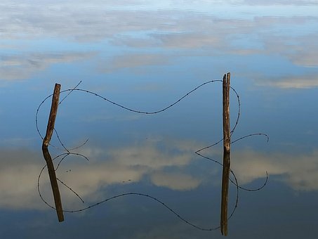 Spiegelung Im Wasser, Wasser, Lake
