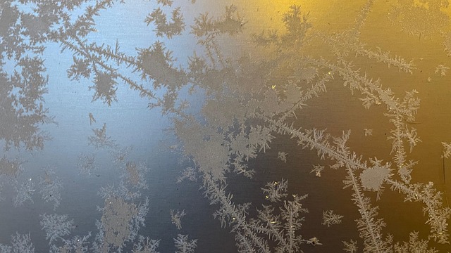 Free Winter Frost photo and picture