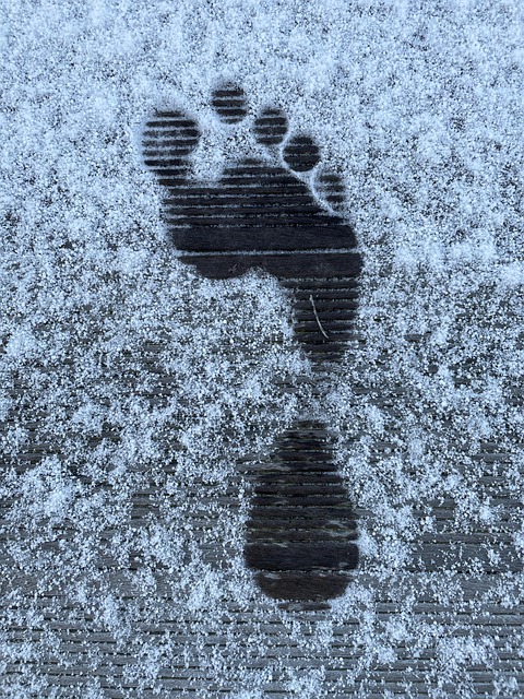 Free Winter Footprint photo and picture