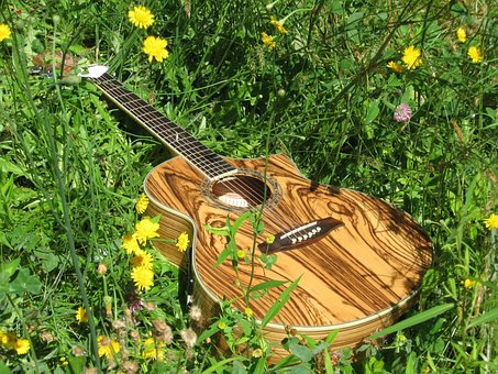 Verde, Galben, Zebră, Acustic, Electric