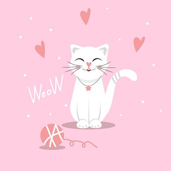 Free Cat Pet photo and picture