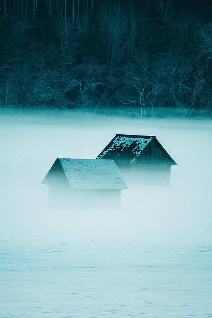 Hütte, Schnee, Nebel, Winter, Natur