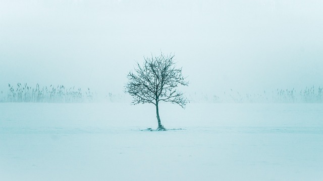 Natur, Winter, Jahreszeit, Draußen, Kalt