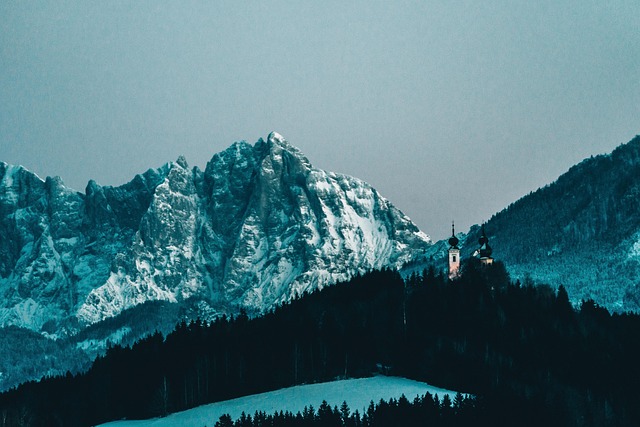Österreich, Wald, Berge, Winter, Natur