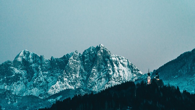 Österreich, Wald, Natur, Berge, Winter