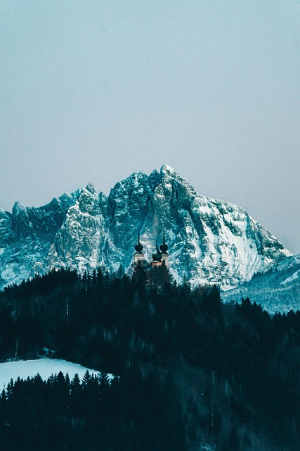 Austria, Bosque, Montañas, Invierno