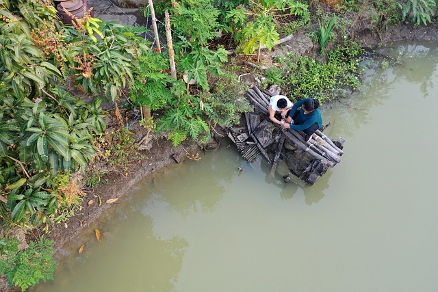 Free Vietnam River photo and picture