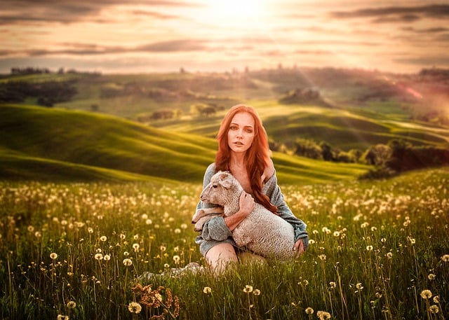 Download free HD stock image of Woman Sheep Free woman sheep field of flowers illustration