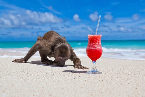 Strand, Aap, Cocktail, Zomer, Paradijs