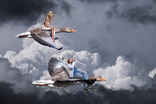 Vogels, Wolken, Reizen, Lucht, Natuur
