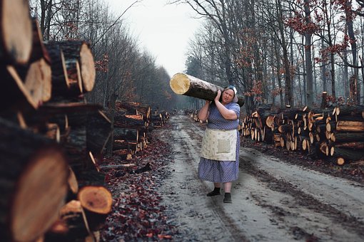 Bos, Hout, Boom, Vrouw, Stoer