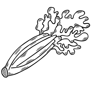 0以上の無料セロリ 野菜画像 Pixabay