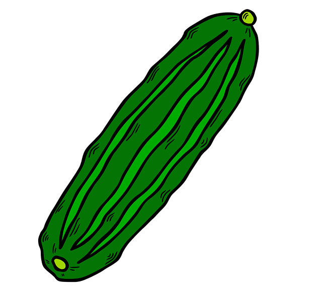 Free cucumber vegetable food illustration