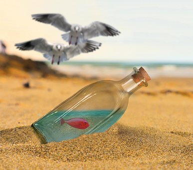 Free Beach Summer photo and picture