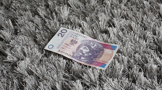 Geld, Bankbiljet, De Russische Roebel
