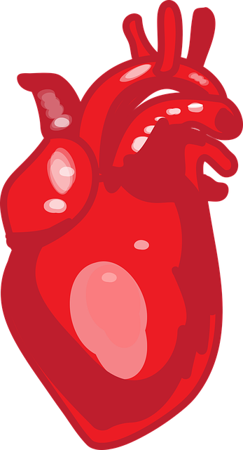 Free heart cardiogram heartbeat illustration