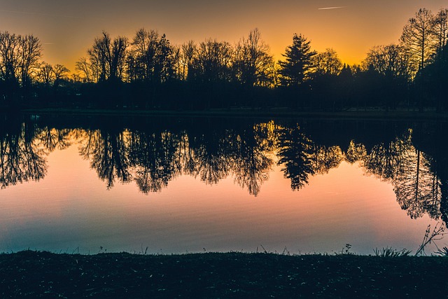 Free Nature Pond photo and picture