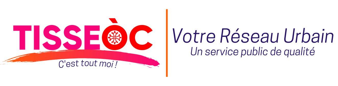 Tisseoc, Entreprise Virtuelle