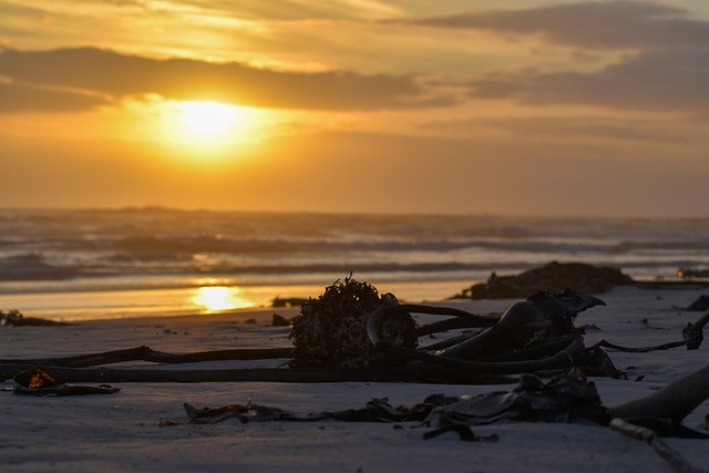 Free Beach Nature photo and picture
