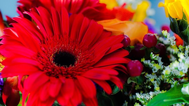 Blomster, Have, Havearbejde, Keramik