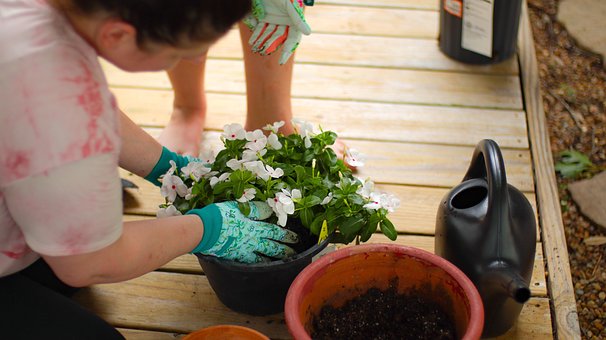 Have, Havearbejde, Planter, Keramik