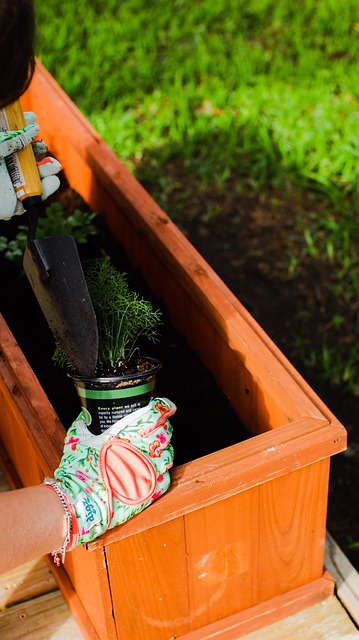 Planter, Have, Havearbejde, Natur