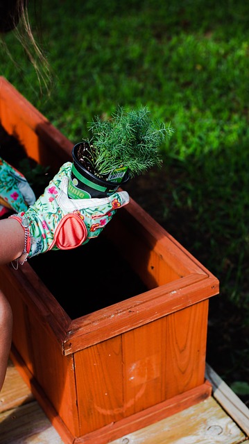Planter, Have, Havearbejde, Botanik