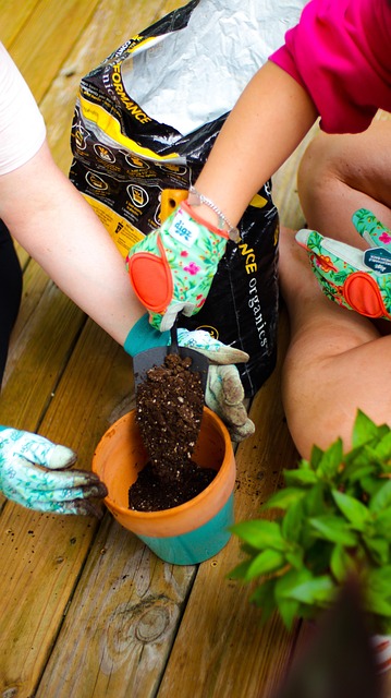 Havearbejde, Planter, Plantning, Urter