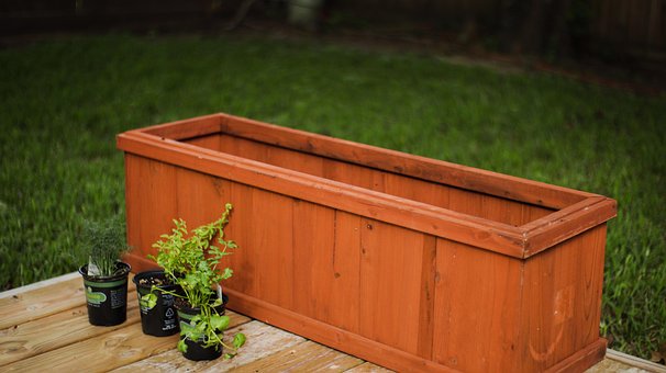 Plantning, Keramik, Havearbejde, Botanik