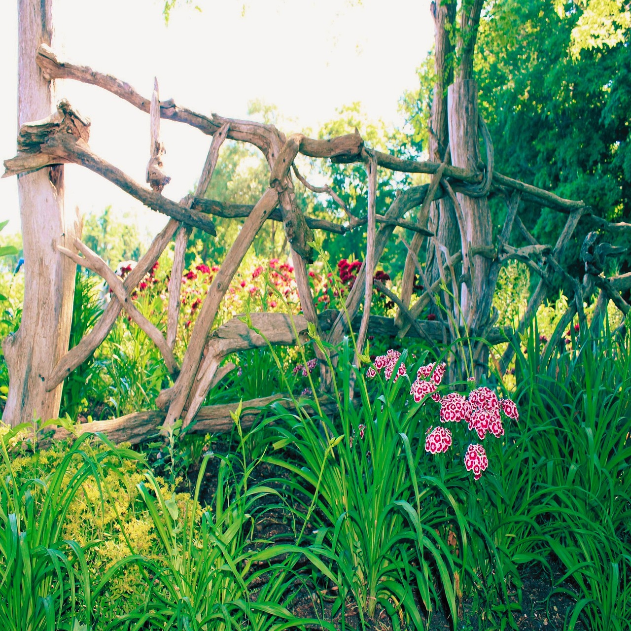 driftwood-beach-flowers-free-photo-on-pixabay-pixabay